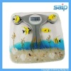 2012 NEW mechanical glass bathroom scale 330lb