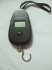 2012 egg shape digital fishing scale