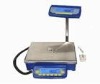 30Kg/0.1g Digital Weighing Platform Balance