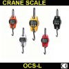 30kg LCD mini crane scale