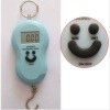 40Kg 10g Portable LCD Display Digital Luggage Hook Scale