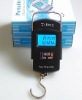 50kg/10g luggage scale (WH-A08)