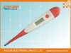 Digital Medical Thermometer factory