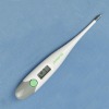 Digital Thermometer(factory)