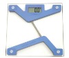 Electronic Body Scales