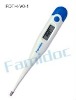 FDTH-V0-1 Digital Clinical Thermometer