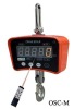 Hanging weighing crane scale