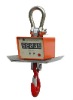 High-temp insulation look straight crane scale