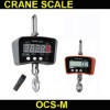 LED digital crane scale