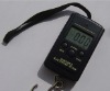 Luggage scale