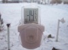 Outdoor Thermometer with Suction Cup