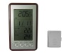 WT0123-Wireless thermometer with transmitter