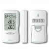 Wireless Thermometer