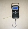 digital hanging scale