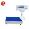 electronic analytical scale